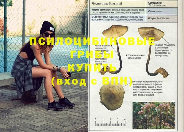 МДПВ Белокуриха