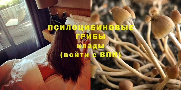 МДПВ Белокуриха