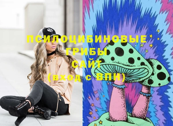 мяу мяу мука Беломорск