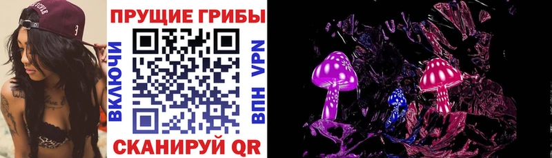 гидра ССЫЛКА  Вятские Поляны  Галлюциногенные грибы прущие грибы 